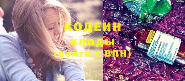 амф Вяземский