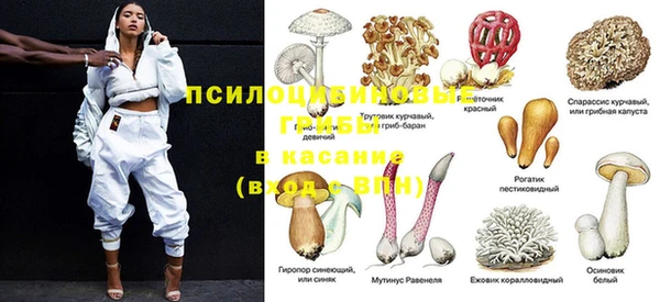 стаф Вязники