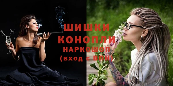 амф Вяземский
