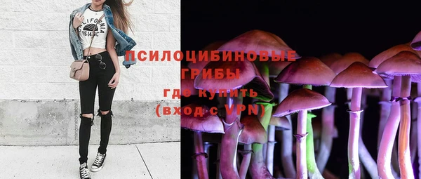 дживик Горно-Алтайск