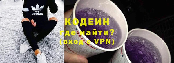 амф Вяземский